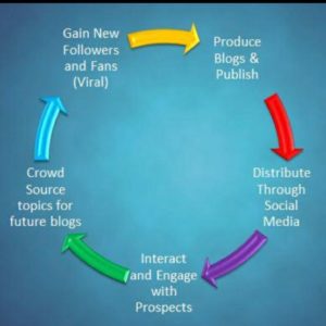 Blog Writing & Publishing Feedback Cycle