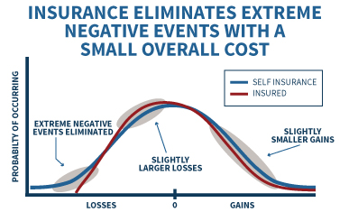 Self Insurance Versus Being Insured - Incurring Small Losses To Avoid Extreme Risks