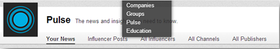 LinkedIn Pulse