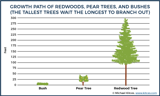 Bushes, Pear Trees, and Redwoods