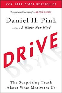 Drive - The Surprising Truth About What Motivates Us by Daniel Pink