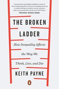 The Broken Ladder Book Cover